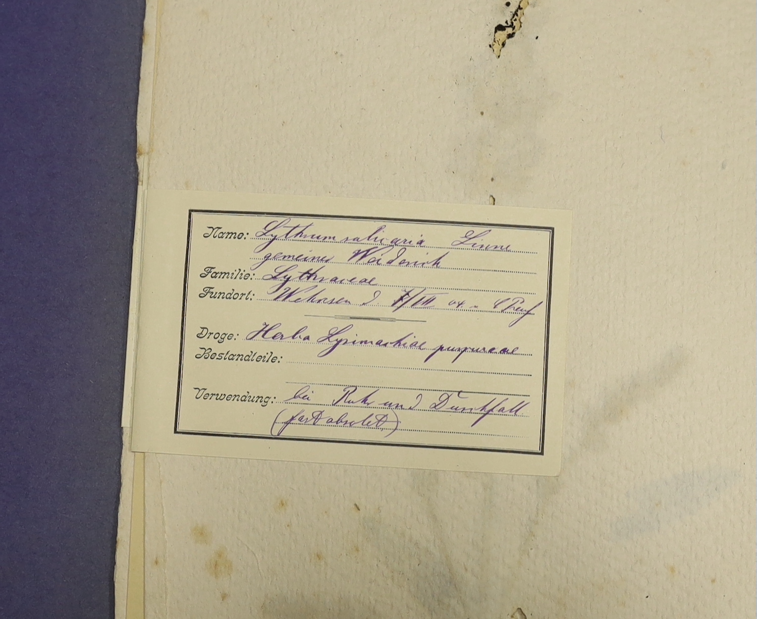 A collection of late 19th / early 20th century French pressed plant and flower specimen albums